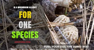 Can a Mushroom Allergy Be Specific to One Species Only?