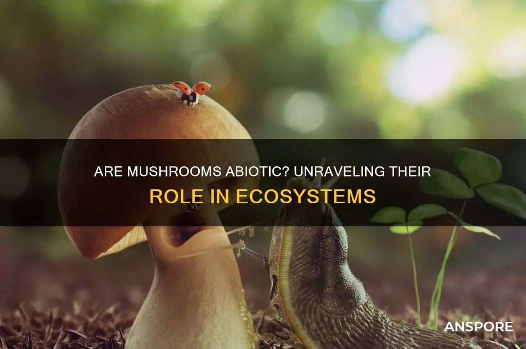 is a mushroom an abiotic factor