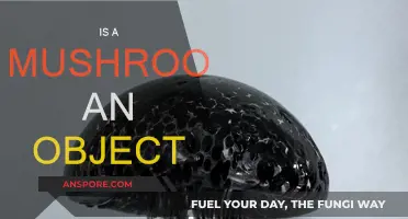 Mushroom: Object or Not?