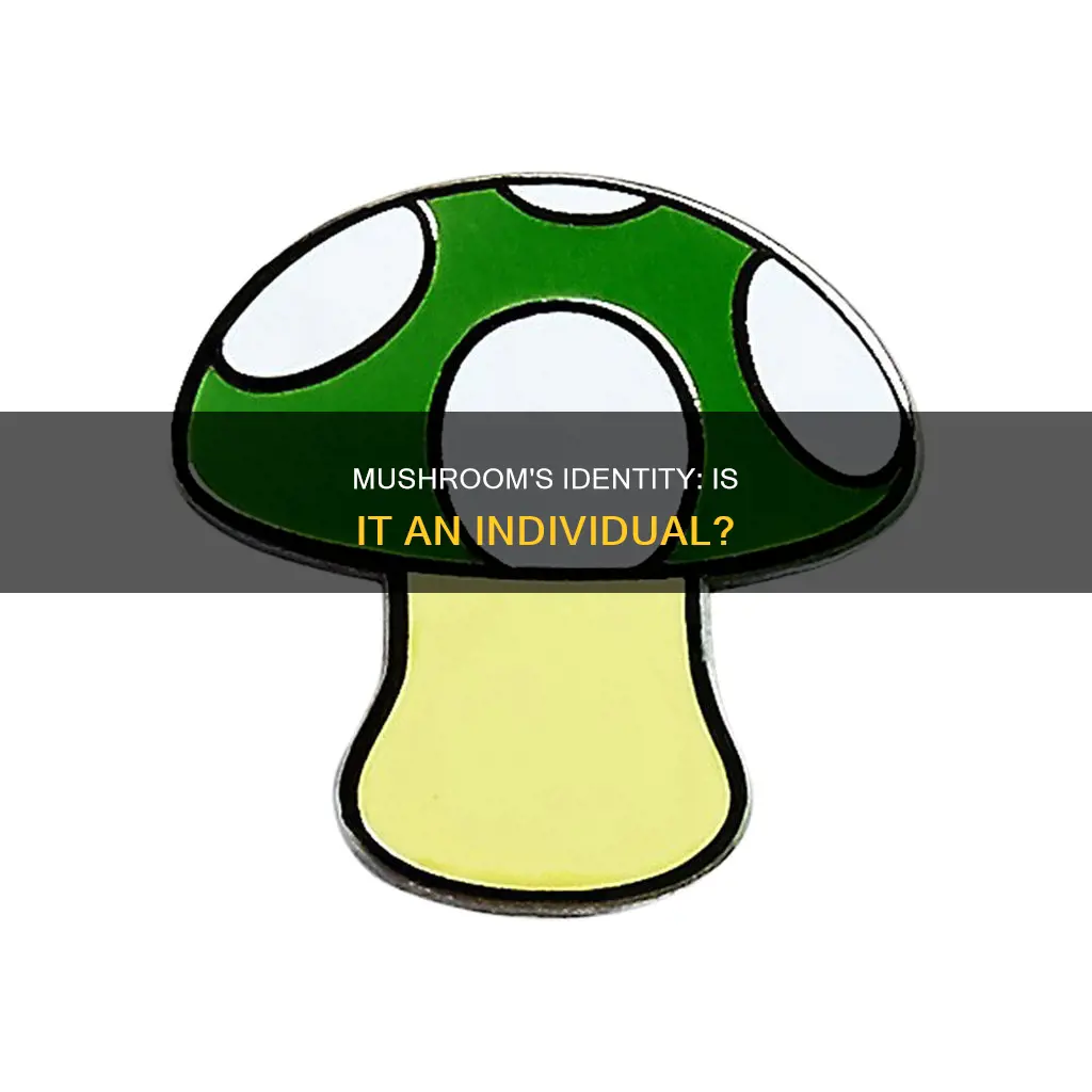 is a mushroom and individual