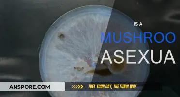 Mushrooms: Asexual and Sensual