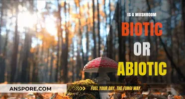 Mushrooms: Understanding Their Biotic Nature in Ecosystems