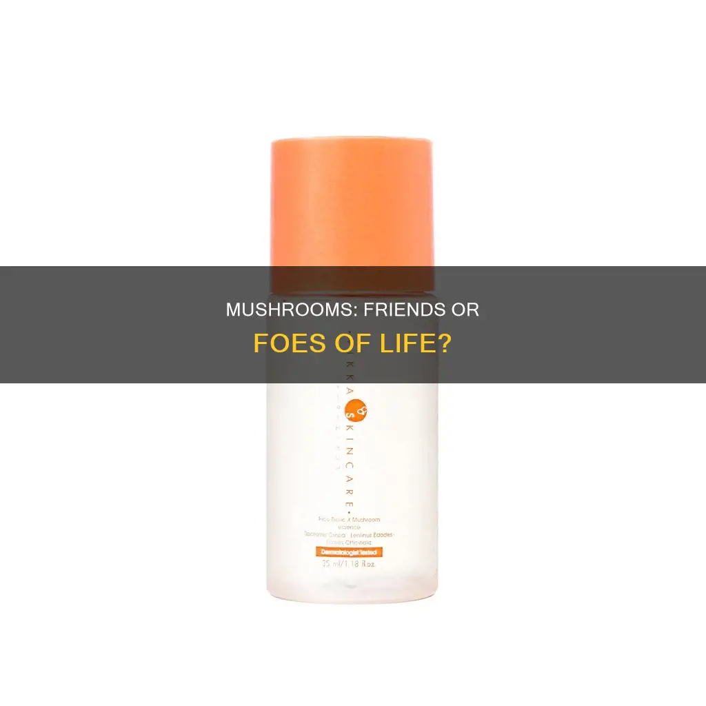 is a mushroom biotic