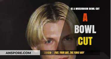 Mushroom Bowl Cut vs. Classic Bowl: Unraveling the Haircut Debate