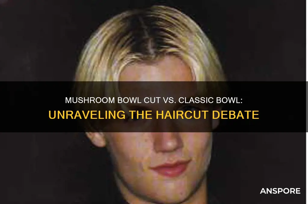 is a mushroom bowl cut a bowl cut