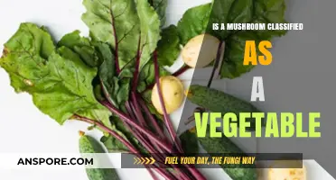 Are Mushrooms Vegetables? Unraveling the Fungal Classification Debate