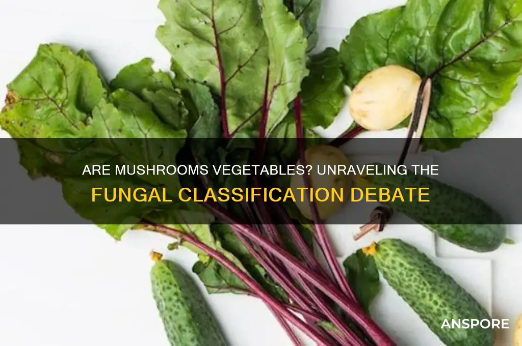 is a mushroom classified as a vegetable