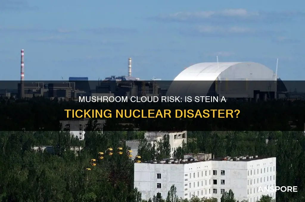 is a mushroom cloud waiting to happen stein
