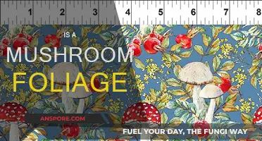 Mushroom Mystery: Are They Foliage?