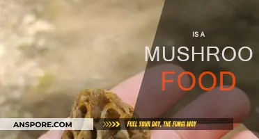 Mushrooms: Are They a Food Group?
