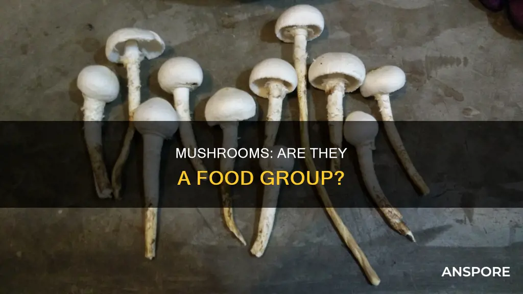 is a mushroom food