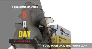 Mushrooms as Daily Veg: Do They Count in Your 5-a-Day?