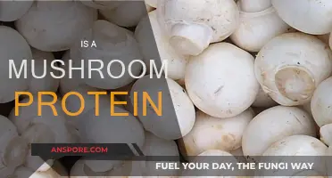 Mushroom Protein: A Healthy Alternative?