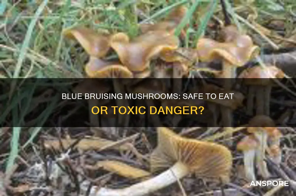 is a mushroom safe to eat if it bruises blue