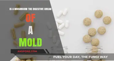 Are Mushrooms Mold's Digestive Organs? Unraveling Fungal Mysteries