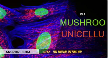 Mushrooms: Complex Multicellular or Simple Unicellular?