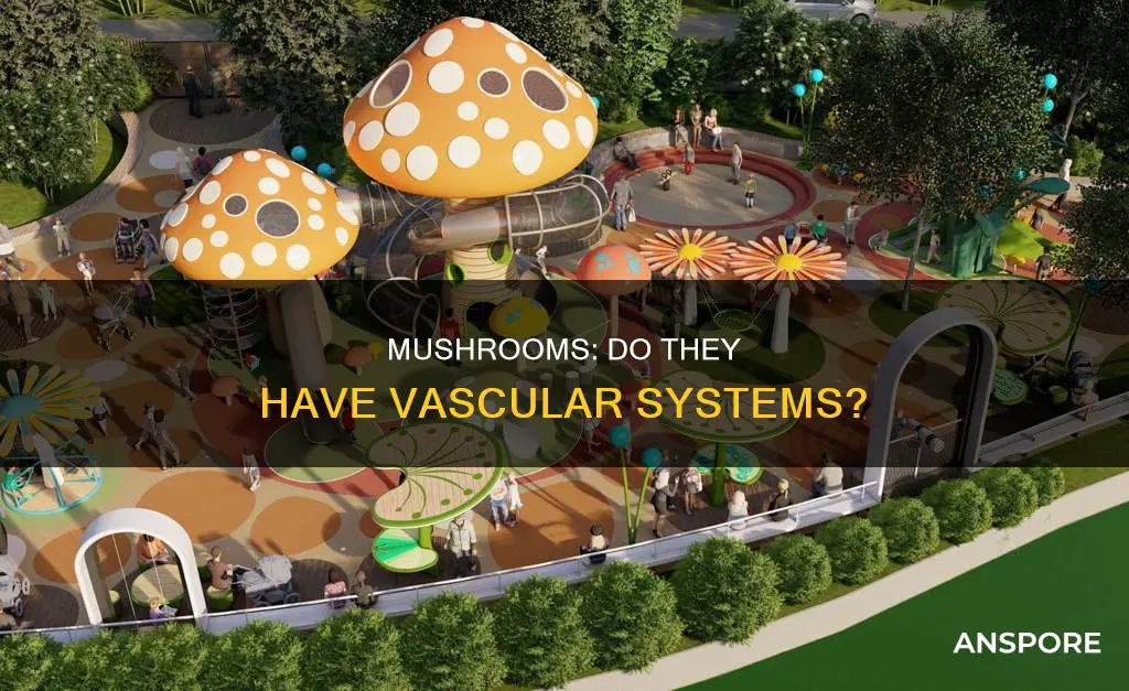 is a mushroom vascular