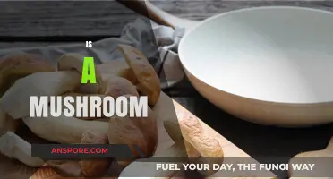 Mushrooms: Are They a Friend or Foe?