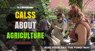 Exploring Mushroom Cultivation: Is It Truly an Agricultural Class?