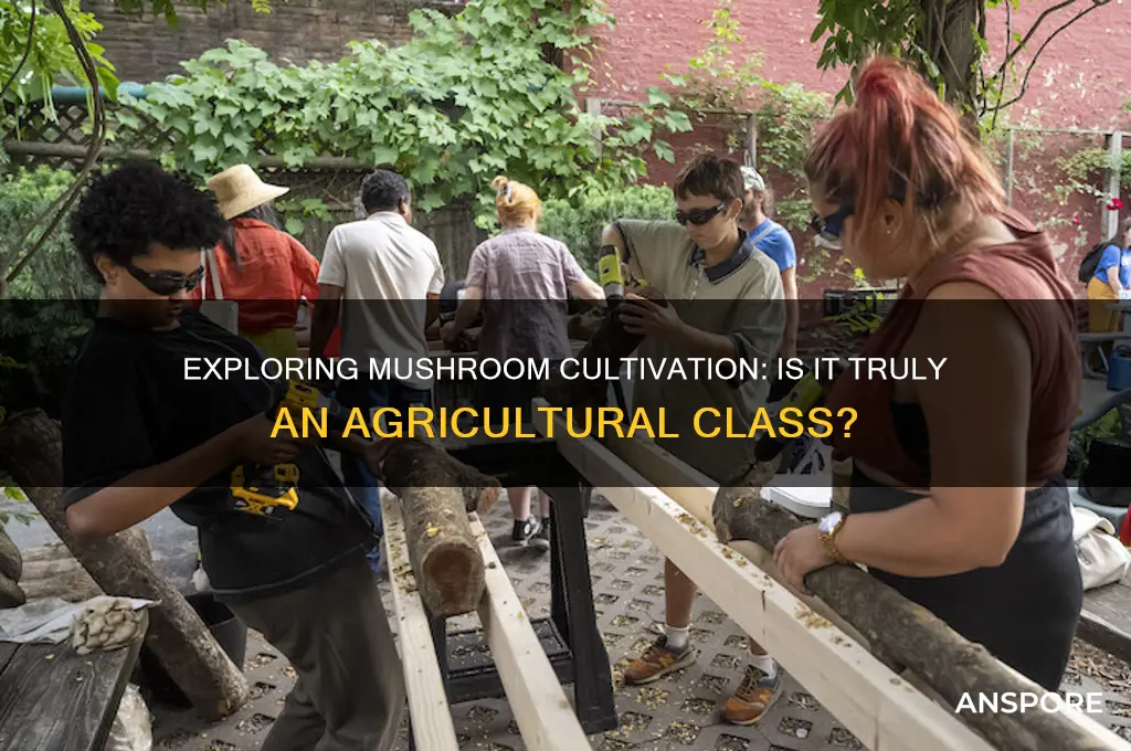 is a mushrooms calss about agriculture