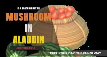 Aladdin's Magical Fruits: Unraveling the Peach, Nut, and Mushroom Mystery