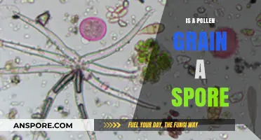 Pollen vs. Spores: Unraveling the Botanical Mystery of Reproduction