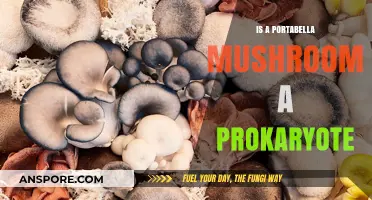 Are Portabella Mushrooms Prokaryotes? Unraveling the Fungal Mystery