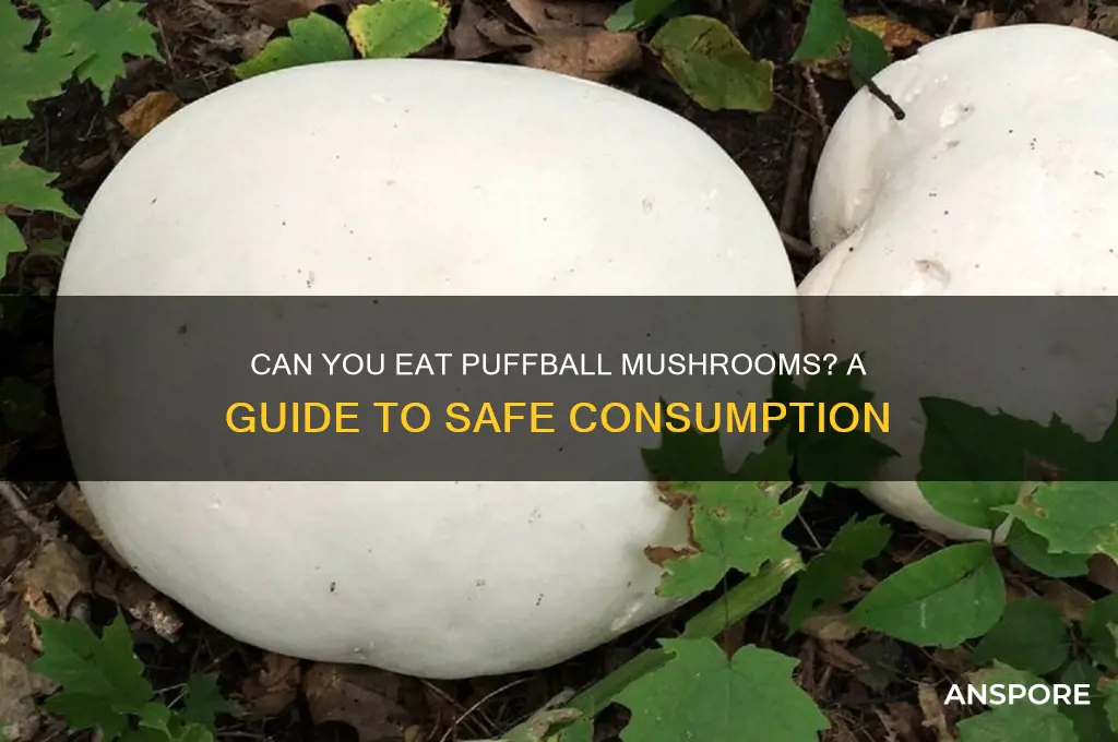 is a puffball mushroom edible