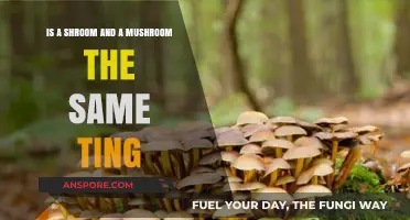 Shrooms vs. Mushrooms: Unraveling the Difference Between the Two