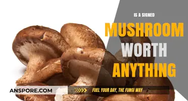 Are Signed Mushrooms Valuable? Exploring Their Worth and Collectibility