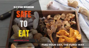 Is Shiitake Mushroom Safe to Eat? Facts and Health Benefits
