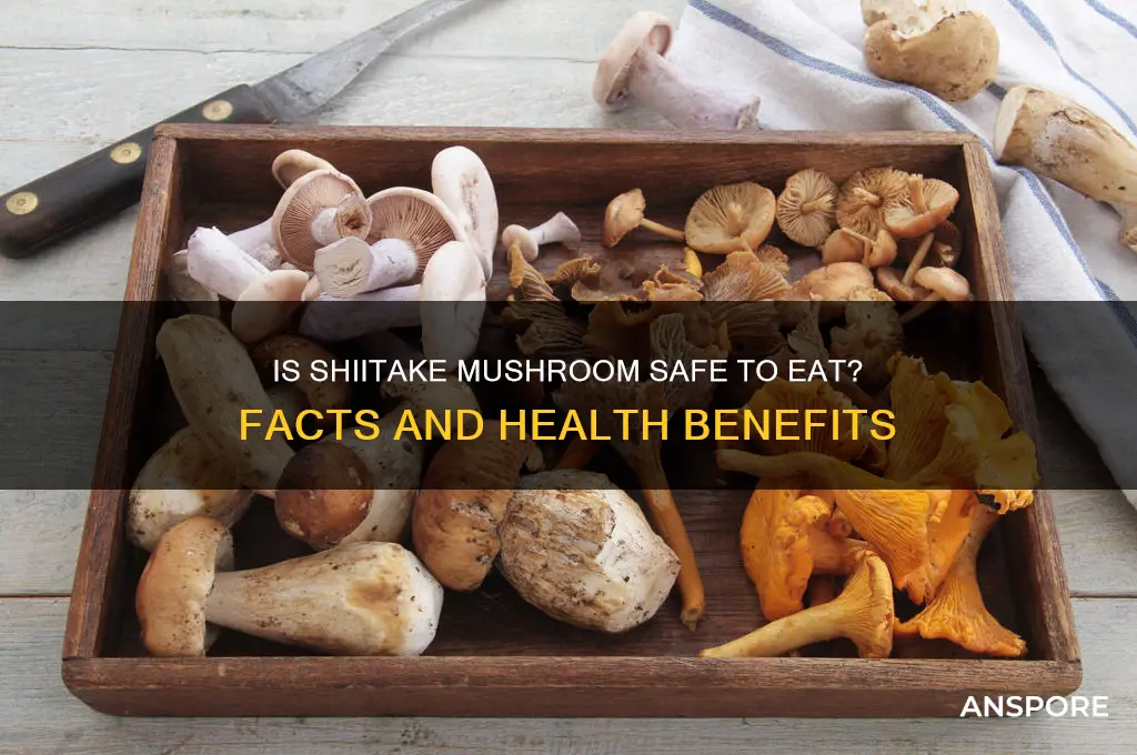 is a sitake mushroom safe to eat