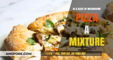 Is Mushroom Pizza a Mixture? Exploring the Science Behind a Slice