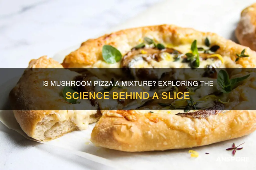 is a slice of mushroom pizza a mixture