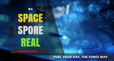 Unveiling the Truth: Are Space Spores Real or Science Fiction?