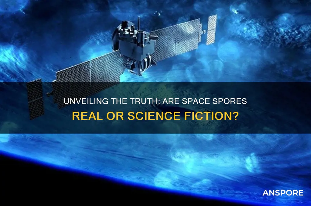 is a space spore real