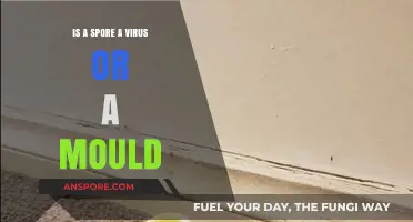 Spore vs. Virus vs. Mould: Understanding the Key Differences