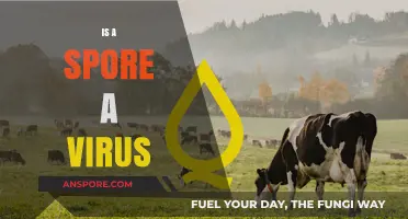 Are Spores Viruses? Unraveling the Differences and Similarities