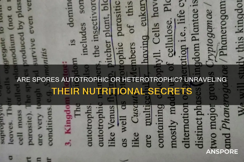 is a spore autotrophic or heterotrophic