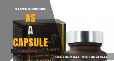 Are Spores and Capsules Identical? Unraveling the Biological Differences