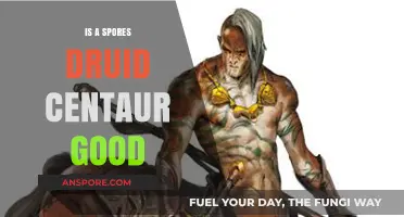 Is a Spores Druid Centaur a Strong Build Choice?