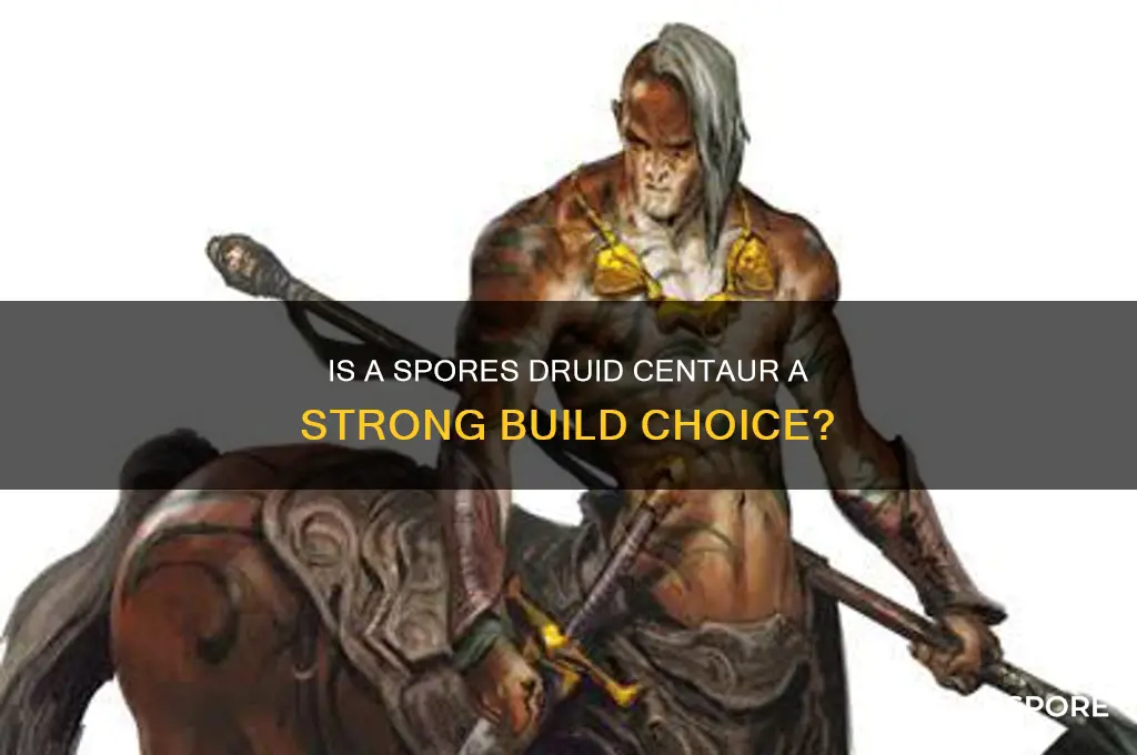 is a spores druid centaur good