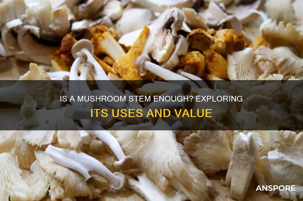 is a stem of a mushroom enough