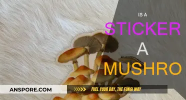 Stickers and Mushrooms: What's the Real Difference?