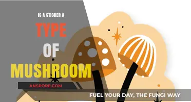 Are Stickers Mushrooms? Unraveling the Surprising Fungal Confusion