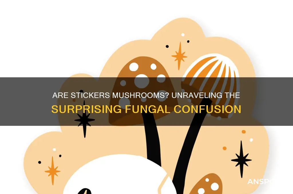 is a sticker a type of mushroom