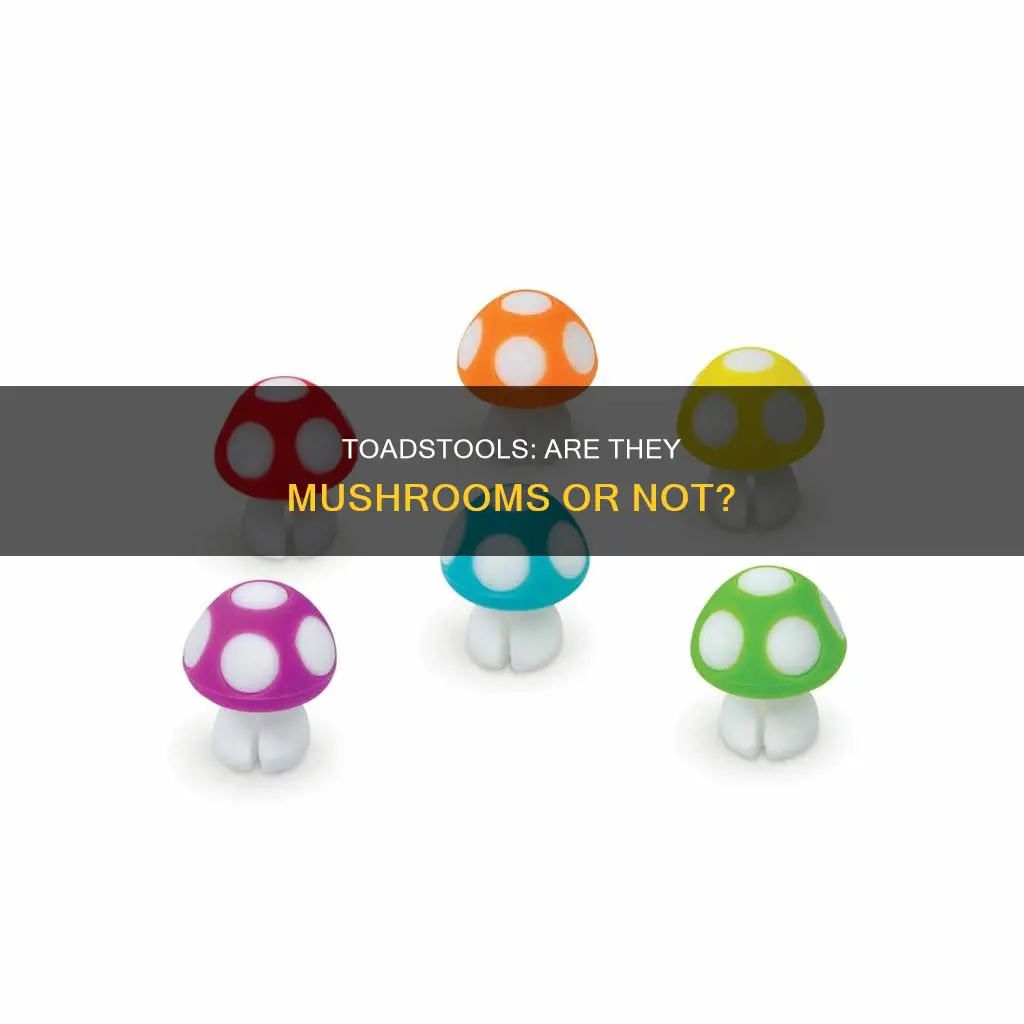is a toadstool a mushroom