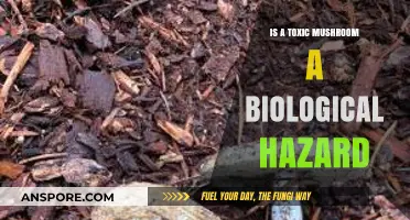 Toxic Mushrooms: Unveiling Their Biological Hazard Potential and Risks