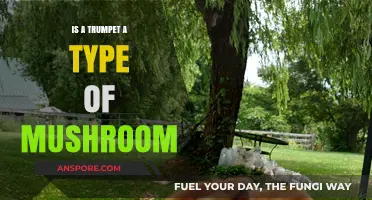 Trumpets and Mushrooms: Unraveling the Myth of Their Connection