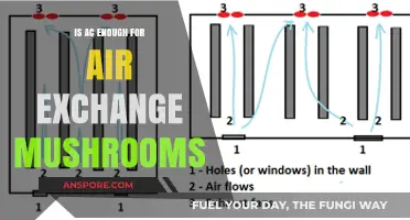 Is AC Sufficient for Optimal Air Exchange in Mushroom Cultivation?